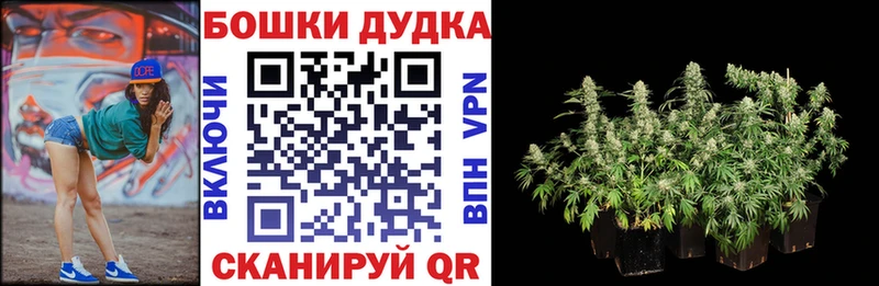 Героин Наволоки