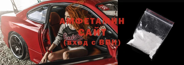 ECSTASY Алзамай