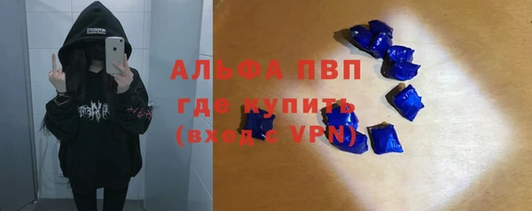 ECSTASY Алзамай