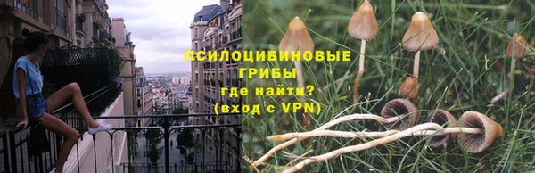 каннабис Алексин