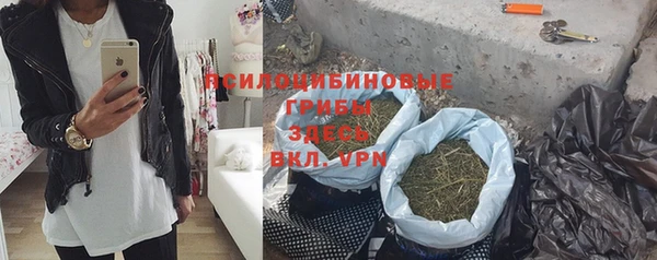 круглые Алексеевка
