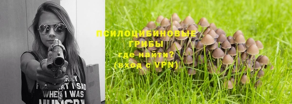круглые Алексеевка