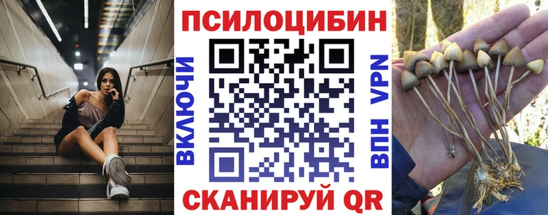 Галлюциногенные грибы MAGIC MUSHROOMS  Наволоки 