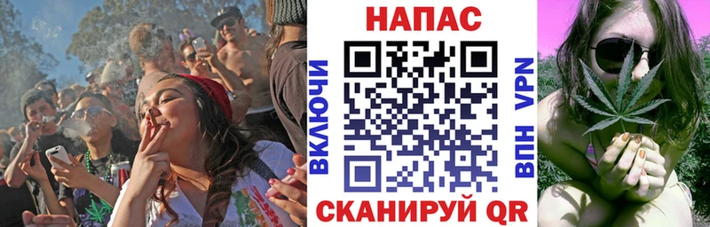 Бошки Шишки SATIVA & INDICA  купить   Наволоки 